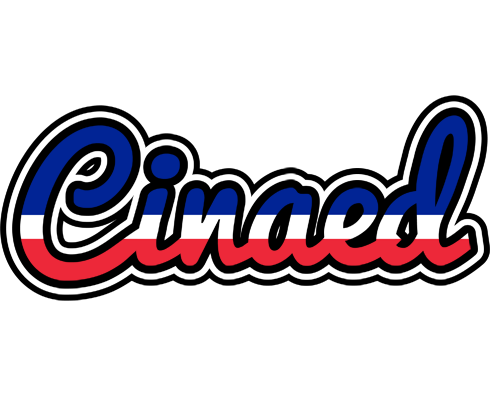 Cinaed france logo