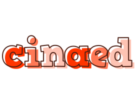 Cinaed paint logo