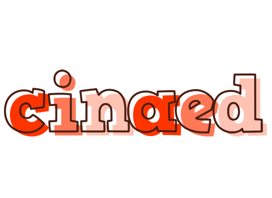 Cinaed paint logo