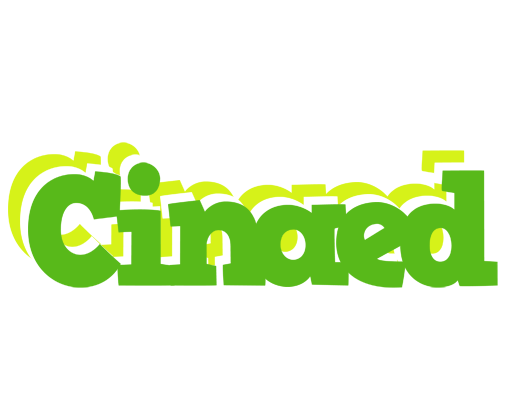 Cinaed picnic logo