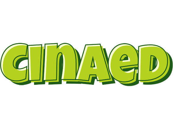 Cinaed summer logo
