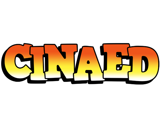 Cinaed sunset logo