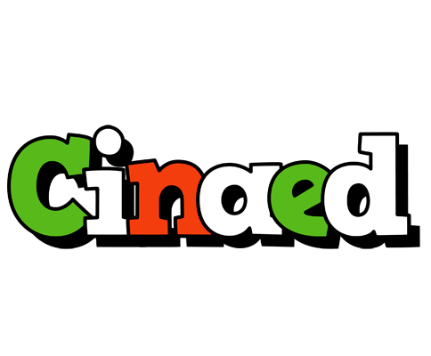 Cinaed venezia logo