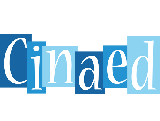 Cinaed winter logo