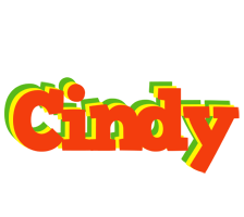 Cindy bbq logo