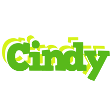 Cindy picnic logo