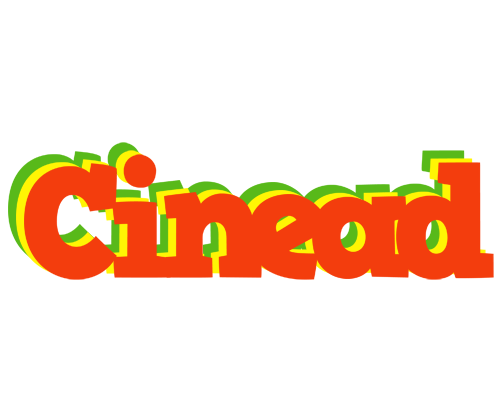 Cinead bbq logo