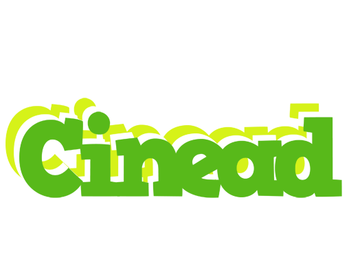 Cinead picnic logo