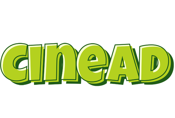 Cinead summer logo