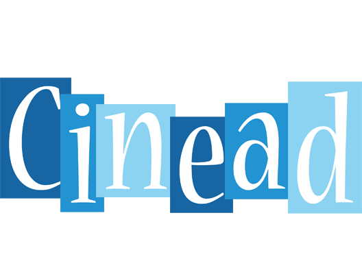 Cinead winter logo