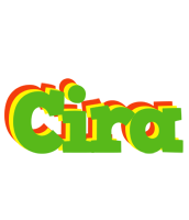 Cira crocodile logo