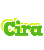 Cira picnic logo