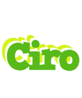 Ciro picnic logo