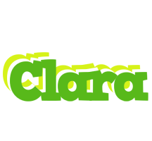 Clara picnic logo