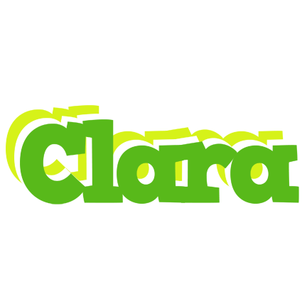 Clara picnic logo