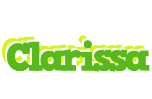 Clarissa picnic logo