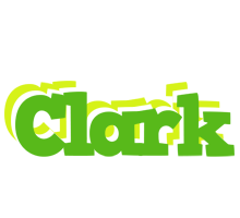 Clark picnic logo