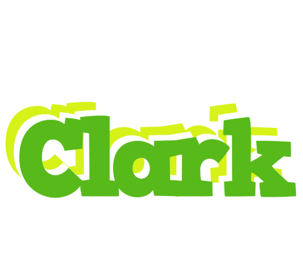 Clark picnic logo