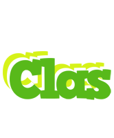 Clas picnic logo