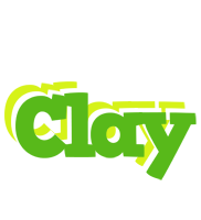 Clay picnic logo