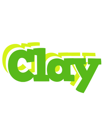 Clay picnic logo