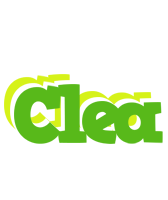 Clea picnic logo