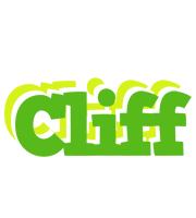 Cliff picnic logo