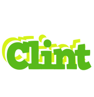 Clint picnic logo