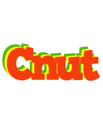 Cnut bbq logo