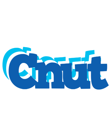 Cnut business logo