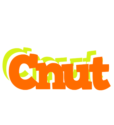 Cnut healthy logo