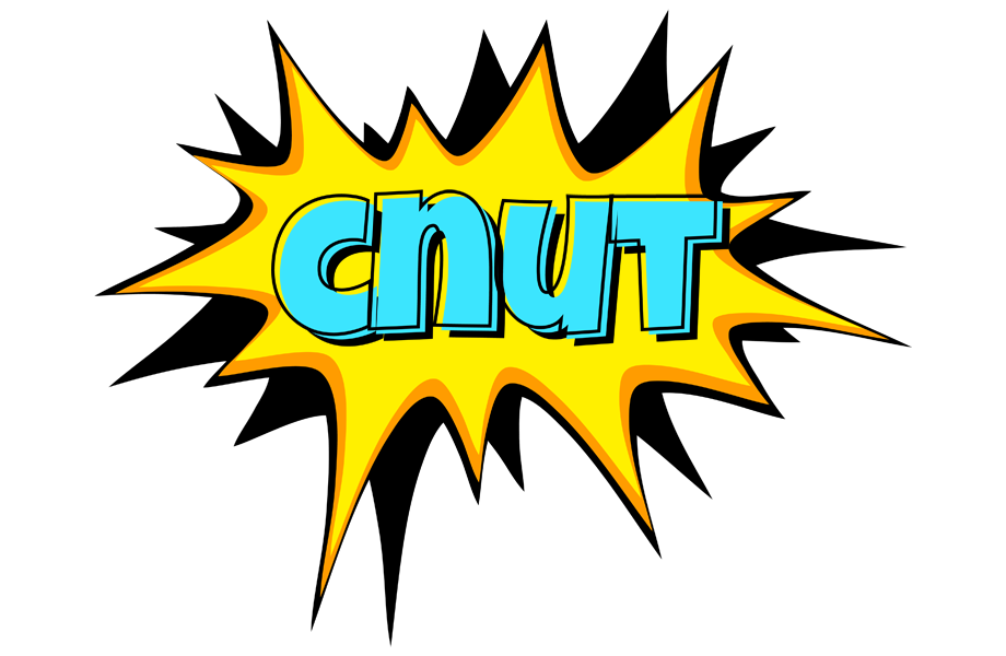 Cnut indycar logo