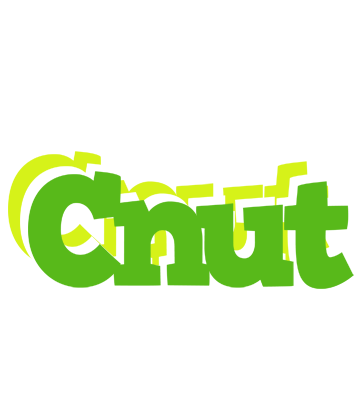 Cnut picnic logo