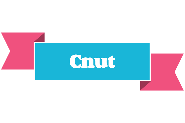 Cnut today logo