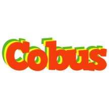 Cobus bbq logo