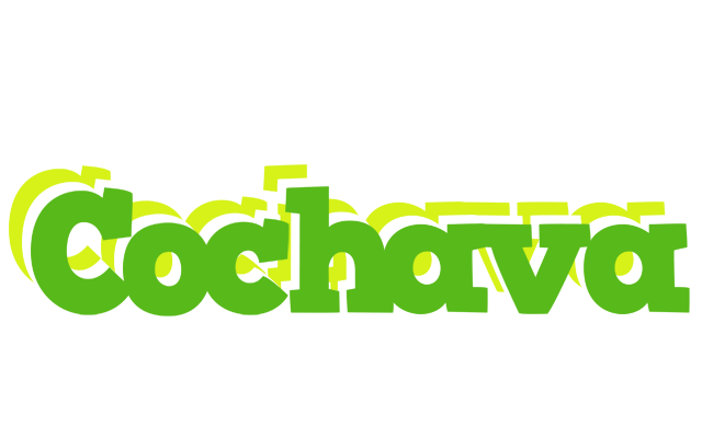 Cochava picnic logo