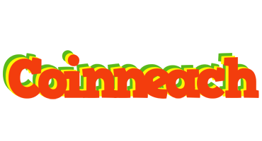 Coinneach bbq logo