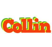 Collin bbq logo