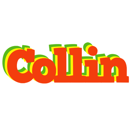 Collin bbq logo