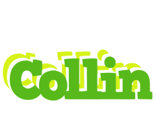 Collin picnic logo