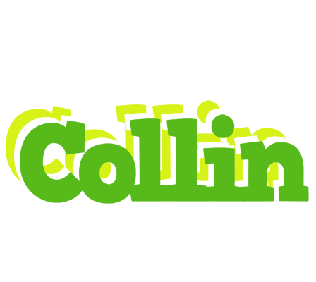 Collin picnic logo