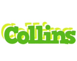 Collins picnic logo