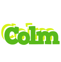 Colm picnic logo