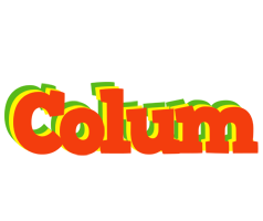 Colum bbq logo