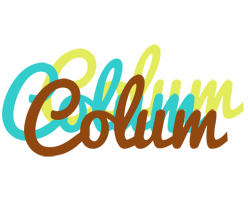 Colum cupcake logo