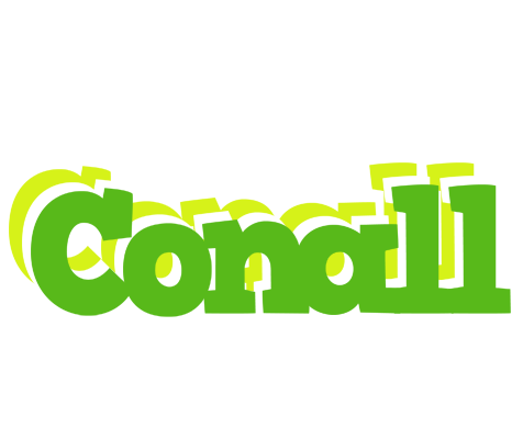 Conall picnic logo