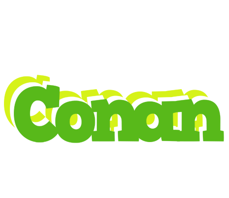 Conan picnic logo