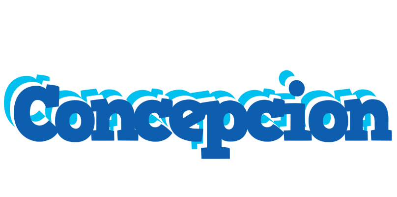 Concepcion business logo
