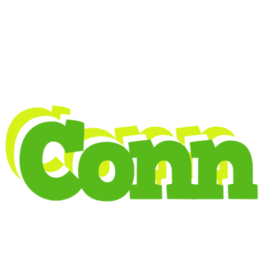 Conn picnic logo