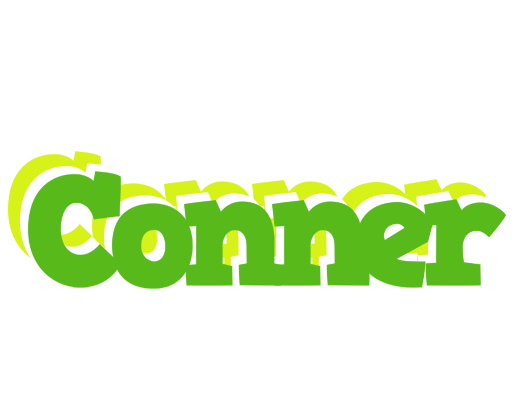 Conner picnic logo